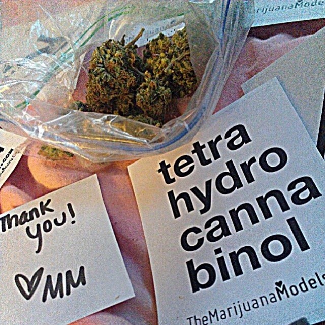 Thank you @cccccccccuchristina :) <3 @marijuanamodels