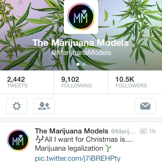 If you're a fan of our IG, add us on twitter! ️ @MarijuanaModels [photos, rants, & silliness galore] 😙