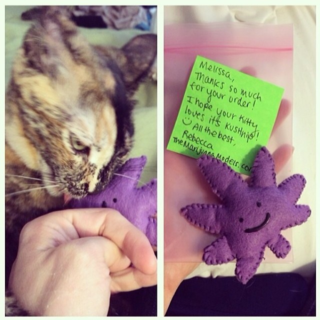 @ambrosia_dreams kitty Mercy got her KUSHnip! Thanks for the support cannafam! I'm hand making each one with lots of love ️