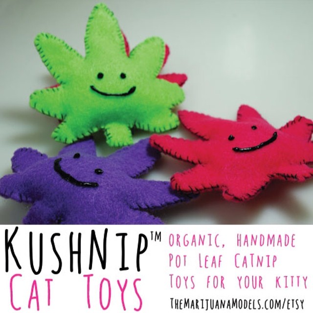 You know your cat's a stoner  Handmade by me and available in our shop! TheMarijuanaModels.com/Etsy