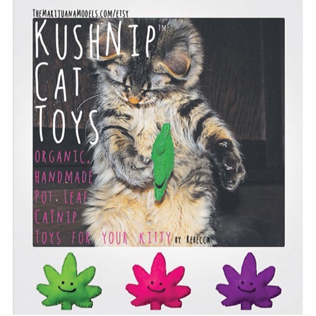 😬😬😬 Available in our shop for the stoner kitties of the world