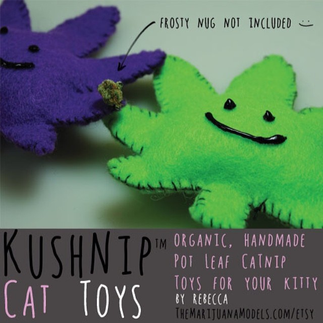 I love seeing pics of your cats playing with their new KUSHnip toys! 😙