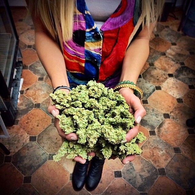 Nugs for all! @myhighnessxo Featured Model on TheMarijuanaModels.com