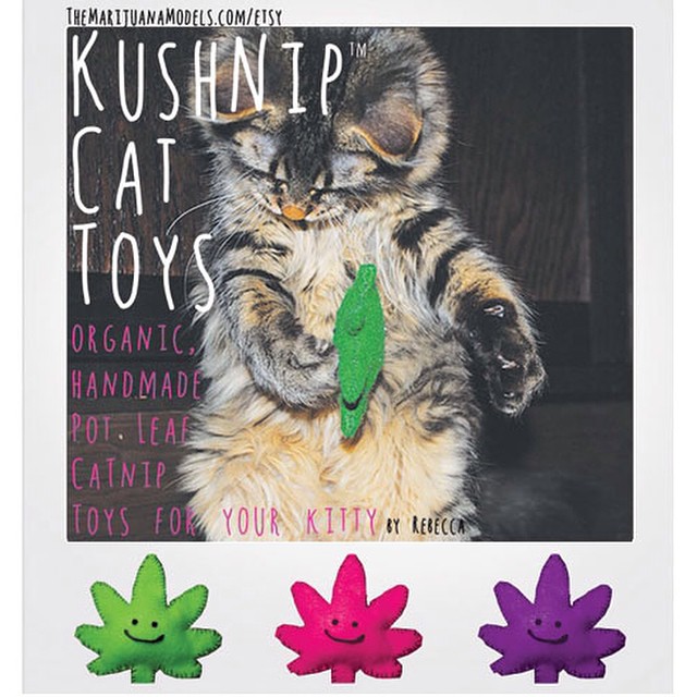 the kitty's love em! Available in lots of colors in our shop! shop.kushcommon.com