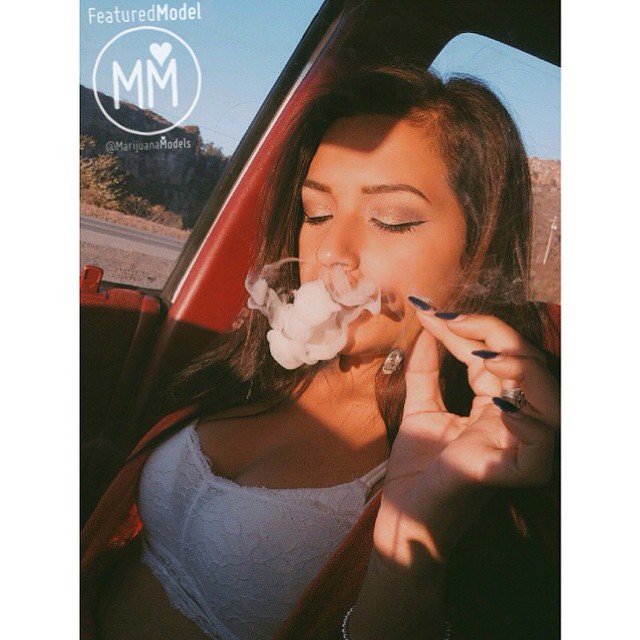 ️@kushkissed
️️☮♡ Featured Model on www.TheMarijuanaModels.com
️️️️️️️️️️️
❀Tag→ ❀Join→ @KUSHCommon today!
❀Apparel→ shop.kushcommon.com
◡̈ ∞