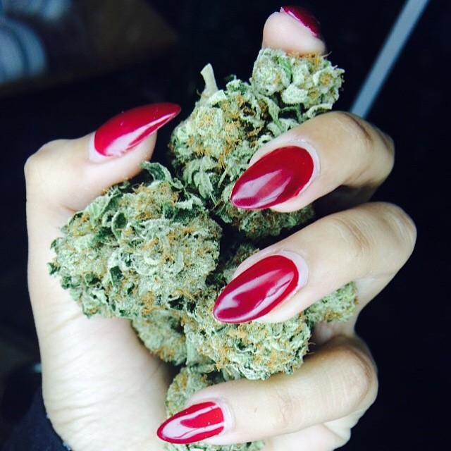 @littlemissdank 
Want an invite to our social network #kushcommon.com? Let us know and we'll send you the code!