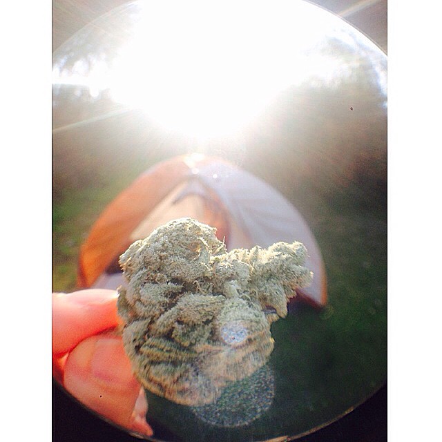 ️Good times camping this weekend with some super frosty gorilla glue Hope you guys had a chance to recharge and relax