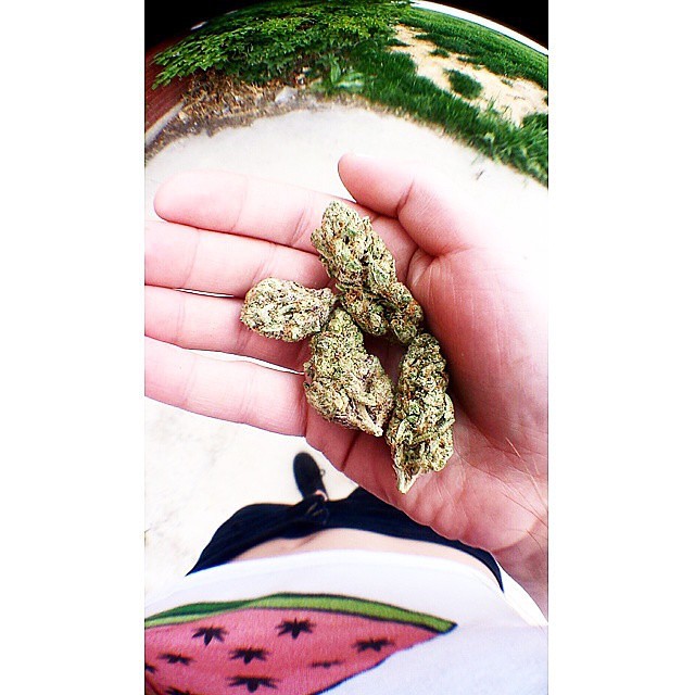 ️Ft @queen_kief_ 
I spy a Weedmelon crop
Get your & men's & women's apparel at the link in our bio!