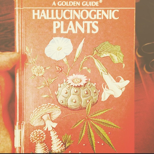 Hallucinogenic plants are illegal because they would enlighten too many people.