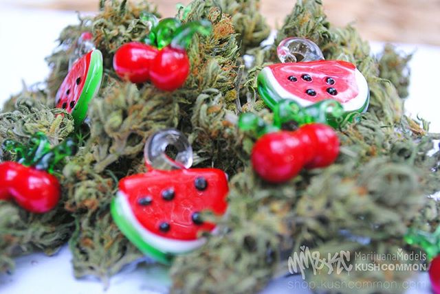 😛Fruity glass pendants now available on hemp chokers, necklaces, and bracelets!!!
Shop at www.shop.kushcommon.com