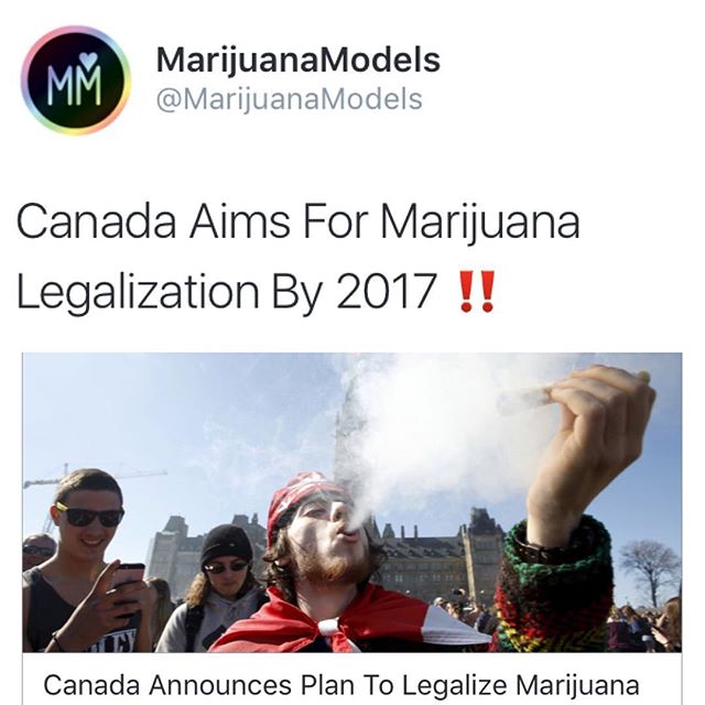 "Canada’s Liberal government will introduce a law in spring 2017 to legalize recreational marijuana, fulfilling an election pledge from Canadian Prime Minister Justin Trudeau"